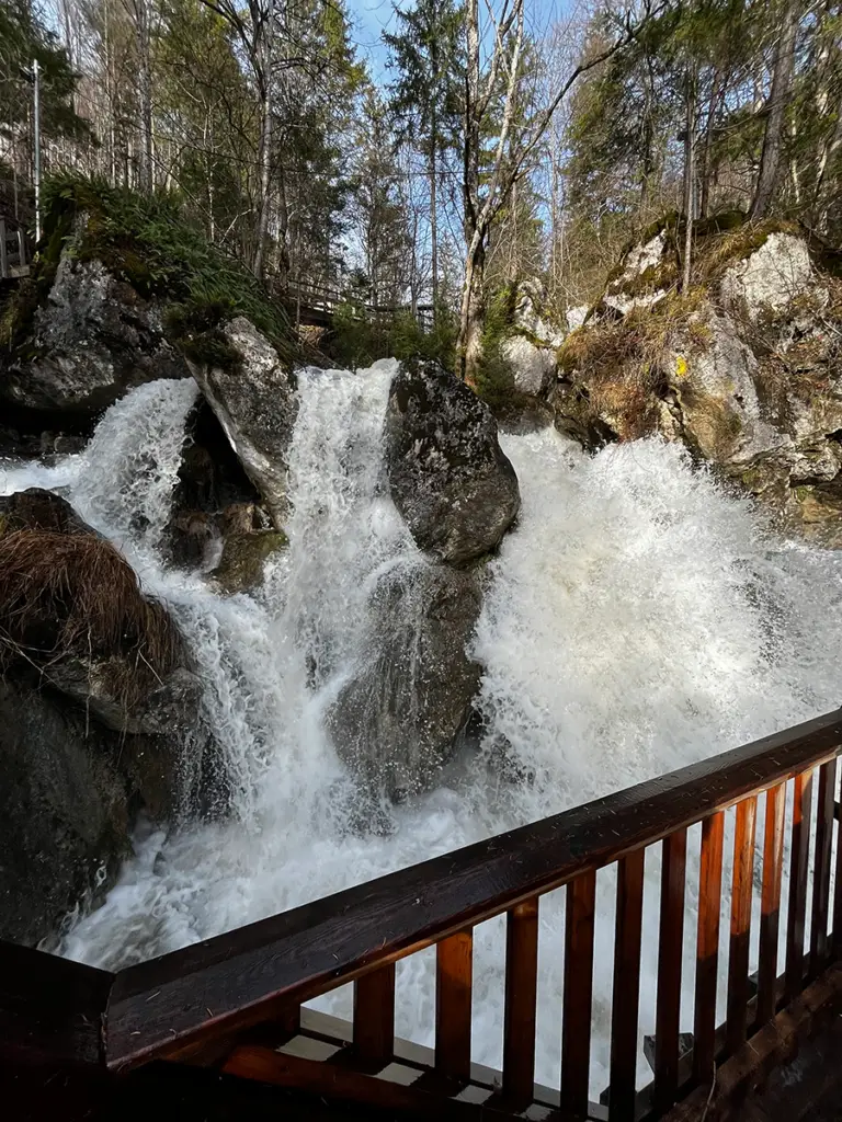 Myrafälle
